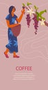 Card or banner template with woman collecting a harvest of coffee beans