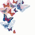 Card with beautiful bright butterflies