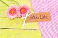 Card with best wishes - german text, Alles Liebe, means love and pink flowers decoration