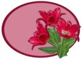 red open tulips on a pink oval Royalty Free Stock Photo