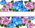 Card with blue and pink hortensias. Royalty Free Stock Photo