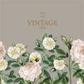 Card with botanical white roses in vintage style. Vector. Royalty Free Stock Photo