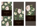 Card with botanical white roses in vintage style. Vector. Royalty Free Stock Photo