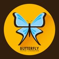 Card butterfly