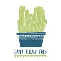 Card cactus pot and succulent in sketch style. Flat drawing element design. Decoration collection plant.Text Cant touch this