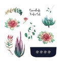 Potted cacti and succulents plants badge collection set.