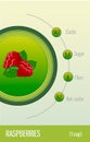 Card carbohydrates, sugar and fiber in fruits. Raspberry. Information for dietitians and diabetics.