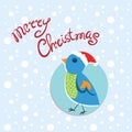 Card Christmas and New Year with colorful bird Royalty Free Stock Photo