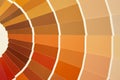 Card color palette in warm tones. Yellow orange brown