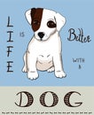 Card with cute Jack Russel terrier puppy Royalty Free Stock Photo