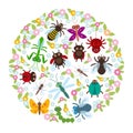 Card design in a circle Funny insects Spider butterfly dragonfly mantis beetle wasp ladybugs on white background. Vector Royalty Free Stock Photo