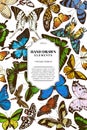 Card design with colored papilio ulysses, morpho menelaus, graphium androcles, morpho rhetenor cacica, papilio demoleus