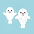 Card design Funny white fur seal pups, cute seals Royalty Free Stock Photo