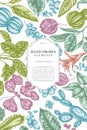 Card design with pastel ficus, iresine, kalanchoe, calathea, guzmania, cactus Royalty Free Stock Photo