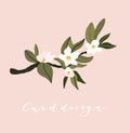 Card design. Pink background  with flowers and leaves. Spring floral template. Hand drawn botanical vector illustration with white Royalty Free Stock Photo