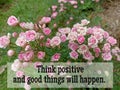 Card with flowers. Inspirational motivational quote - Think positive and good things will happen. With colorful pink roses Royalty Free Stock Photo