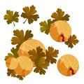 Card with gooseberries with leaves. vector illustration