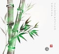 Card with green bamboo in sumi-e style. Royalty Free Stock Photo