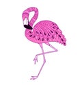 Card with hand drawn vector pink flamingo. Doodle