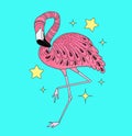 Card with hand drawn vector pink flamingo. Doodle