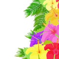 The card Hawaiian hibiscus flower. vector illustration Royalty Free Stock Photo