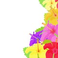 The card Hawaiian hibiscus flower. vector illustration Royalty Free Stock Photo