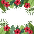 card hibiscus with palm leaves border