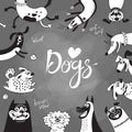 Card with joyful dogs and happy puppies. Vector background with mongrels, sheepdog, dachshund, lap-dog and others breeds