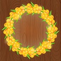 Card with Round Frame from Sea-buckthorn Berries Royalty Free Stock Photo