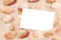 CARD ON SAND WITH SEA SHELL Royalty Free Stock Photo