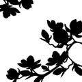 Silhouette branch magnolia flower blossom. vector illustration