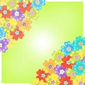 Card of spring Polyanthus primula flowers green. vector
