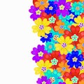 Card spring primroses primula flowers. vector illustration