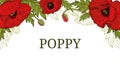 Card, template, banner, header hand drawing of leaves flowers of red poppy.