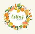 Card template design with circle-shaped frame of mixed citrus fruits. Hand-drawn swirl with tropical oranges, lemons