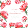 Card template with the floral design; watercolor red peonies Royalty Free Stock Photo