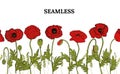 Card, template with hand drawn leaves, branch and flowers poppy. Royalty Free Stock Photo