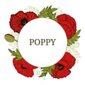 Card, template with hand drawn leaves, branch and flowers red poppy. Royalty Free Stock Photo