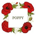 Card, template with hand drawn leaves, branch and flowers red poppy. Royalty Free Stock Photo