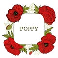 Card, template with hand drawn leaves, branch and flowers red poppy. Royalty Free Stock Photo