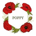 Card, template with hand drawn leaves, branch and flowers red poppy. Royalty Free Stock Photo