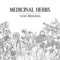 Card template with vintage sketches of medicinal herbs and flowers