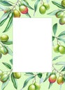 Card template with watercolor olive tree branches with olives an
