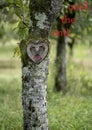 Card to express endless love to somebody special or beloved. Beautiful natural heart shaped face in a tree with greenery around.