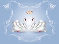 Card with two white swans and luxurious ornament and golden rings for invitations or congratulations with wedding or engagement