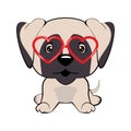 Card of a Valentine s Day. Pug Dog in a striped cardigan, in a fun pink heart glasses. Vector illustration. Royalty Free Stock Photo