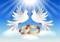 Card with wedding rings and two doves Royalty Free Stock Photo