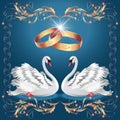 Card with wedding rings and two swans Royalty Free Stock Photo