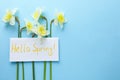 Card with words HELLO SPRING and fresh flowers on blue background, flat lay. Space for text