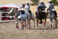 Woman in a horseball match Royalty Free Stock Photo